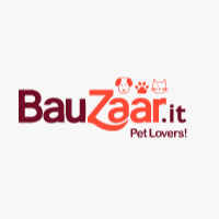 Bauzaar IT